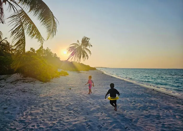 White Tern Maldives